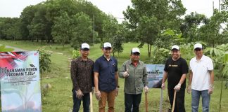 Tanam 1000 Pohon, Jasa Raharja Berkontribusi Kurangi Emisi Karbon