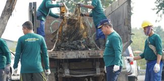 Peringati Hari Pelaut Sedunia KSOP Gresik Bersama Masyarakat Maritim Bersih-bersih Laut