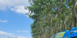 Laka Kereta Api Terjadi Lagi, Kali Ini Provowangi VS Isuzu Elf