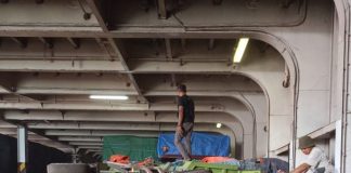 Diduga Tak Becus Tata Muatan Dum Truk Terguling Diatas KM MS 2 Saat Muat di Tanjung Perak