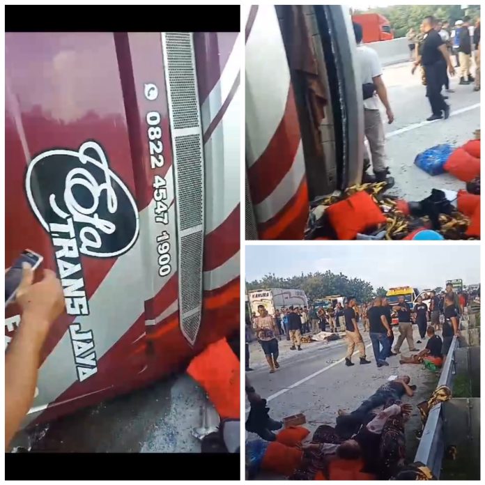 Laka bus satgas hanura Data Satgas Hanura Korban Kecelakaan di Tol Ngawi