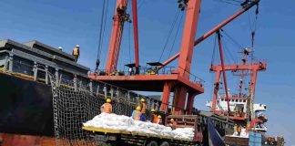 Tak Kantongi ijin Bongkar Muat PBM DABN Probolinggo Kekeh Berkegiatan Tak Kantongi ijin Bongkar Muat PBM DABN Probolinggo Kekeh Berkegiatan