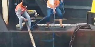 Demi Keselamatan Pelayaran KSOP Probolinggo Minta DABN Angkat Kerangka Mobil Yang Terjebur Demi Keselamatan Pelayaran KSOP Probolinggo Minta DABN Angkat Kerangka Mobil Yang Terjebur