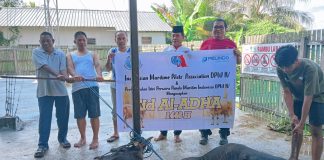 Wujud Kekompakan INAMPA DPW IV Potong 5 Hewan Qurban Wujud Kekompakan INAMPA DPW IV Potong 5 Hewan Qurban