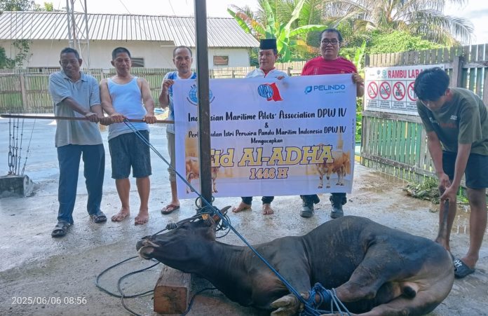 Wujud Kekompakan INAMPA DPW IV Potong 5 Hewan Qurban
