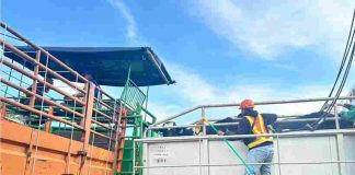 Pelindo Regional 3 dan Kementerian Pertanian Siap Bangun Instalasi Karantina Hewan Pelindo Regional 3 dan Kementerian Pertanian Siap Bangun Instalasi Karantina Hewan