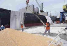 Terminal Jamrud Sukses Fasilitasi Ekspor Pangan Perdana ke Vietnam Terminal Jamrud Sukses Fasilitasi Ekspor Pangan Perdana ke Vietnam