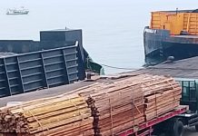 Ceroboh, Supir trailer Tewas Tertimpa Kayu di DABN Probolinggo KSOP Minta Semua Pihak Pegang SOP di Pelabuhan Ceroboh, Supir trailer Tewas Tertimpa Kayu KSOP Probolinggo Minta Semua Pihak Pegang SOP di Pelabuhan